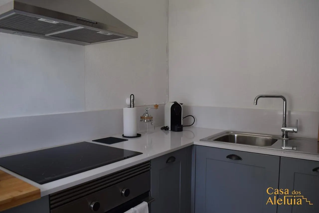 Holiday home Casa Dos Aleluia Villa Coimbra